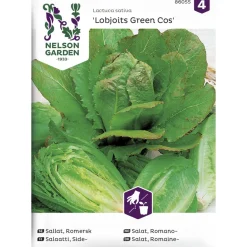 Sidesalaatti siemen Nelson Garden Basic Lobjoits Green Cos
