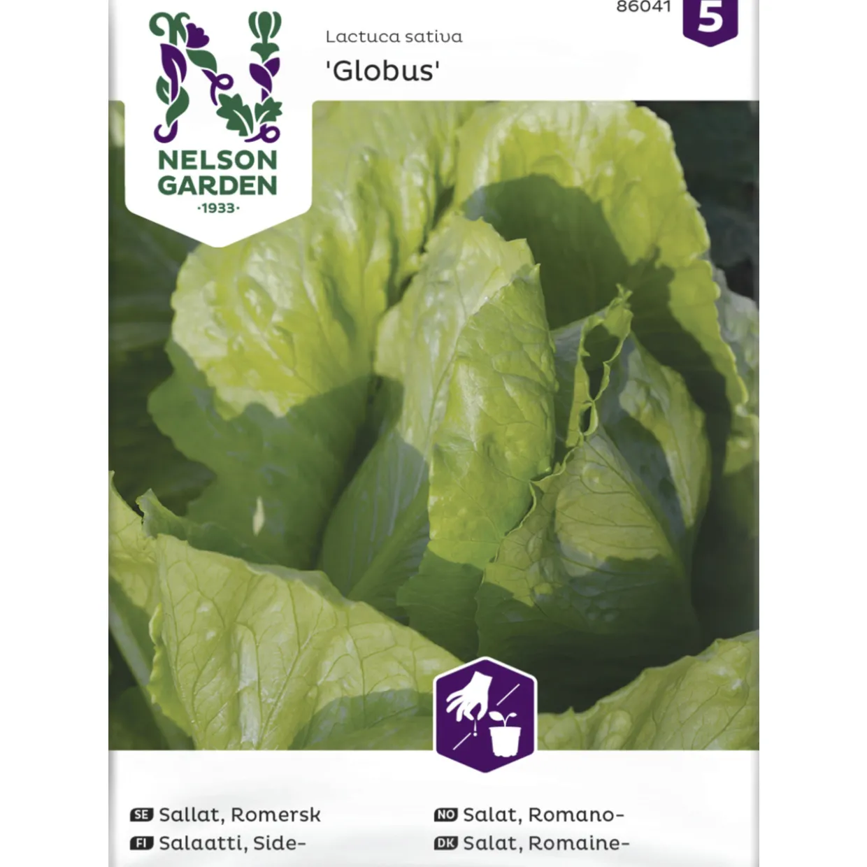 Sidesalaatti siemen Nelson Garden Basic Globus