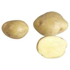Siemenperuna 10 kg Timo