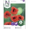 Silkkiunikko siemen Nelson Garden Basic