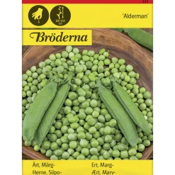 Silpoherne Alderman siemen Bröderna Nelsons