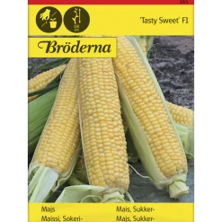 Sokerimaissi Tasty Sweet F siemen Bröderna Nelsons