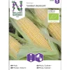 Sokerimaissi siemen Nelson Garden Basic Golden Organic