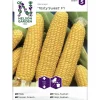 Sokerimaissi siemen Nelson Garden Basic Tasty Sweet F2