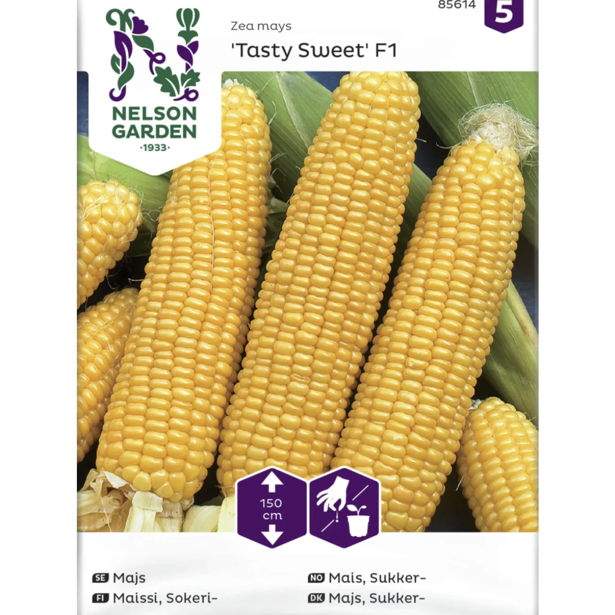 Sokerimaissi siemen Nelson Garden Basic Tasty Sweet F2