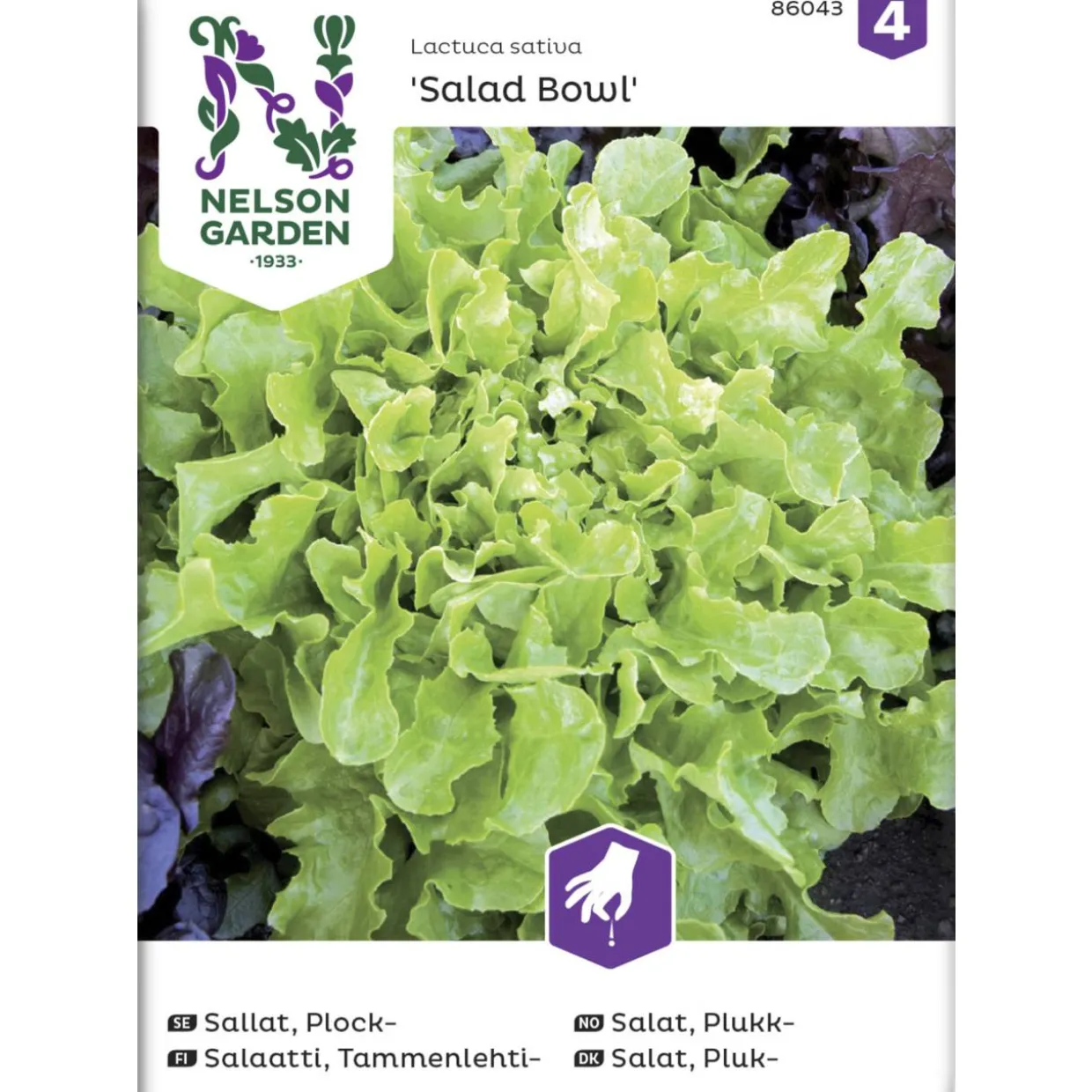 Tammenlehtisalaatti siemen Nelson Garden Basic Salad Bowl