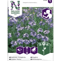 Tarhaillakko siemen Nelson Garden Basic