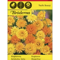 Tarhakehäkukka Pacific Beauty siemen Bröderna Nelsons