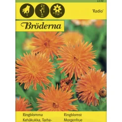 Tarhakehäkukka Radio siemen Bröderna Nelsons
