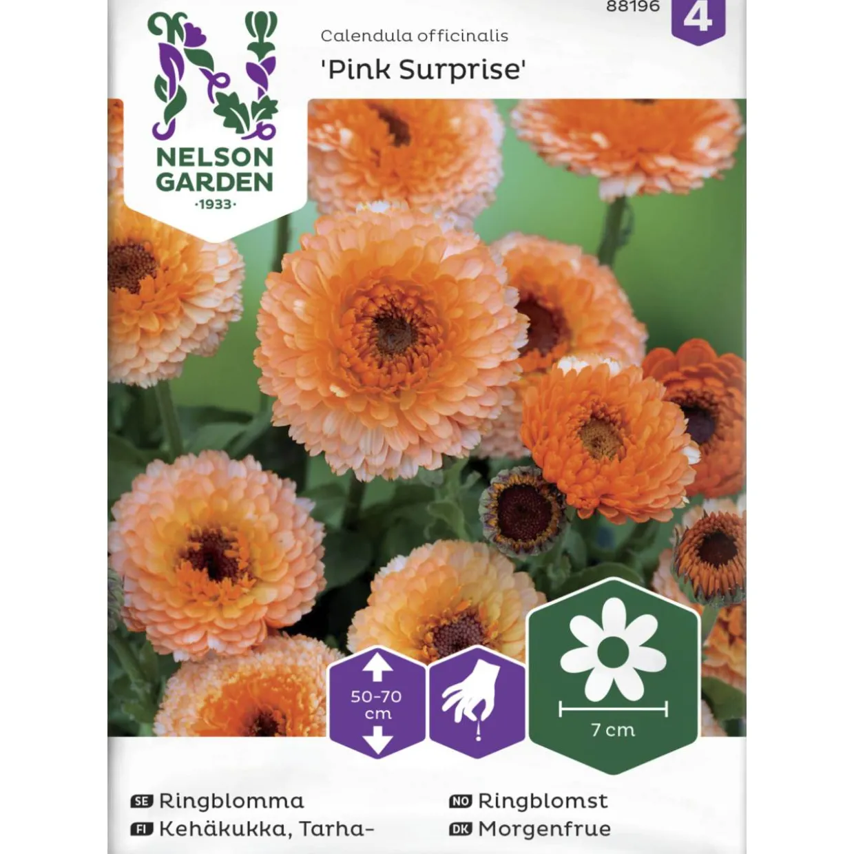 Tarhakehäkukka siemen Nelson Garden Basic Pink Surprise