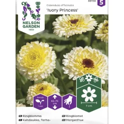 Tarhakehäkukka siemen Nelson Garden Basic Ivory Princess