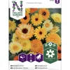 Tarhakehäkukka siemen Nelson Garden Basic väriseos