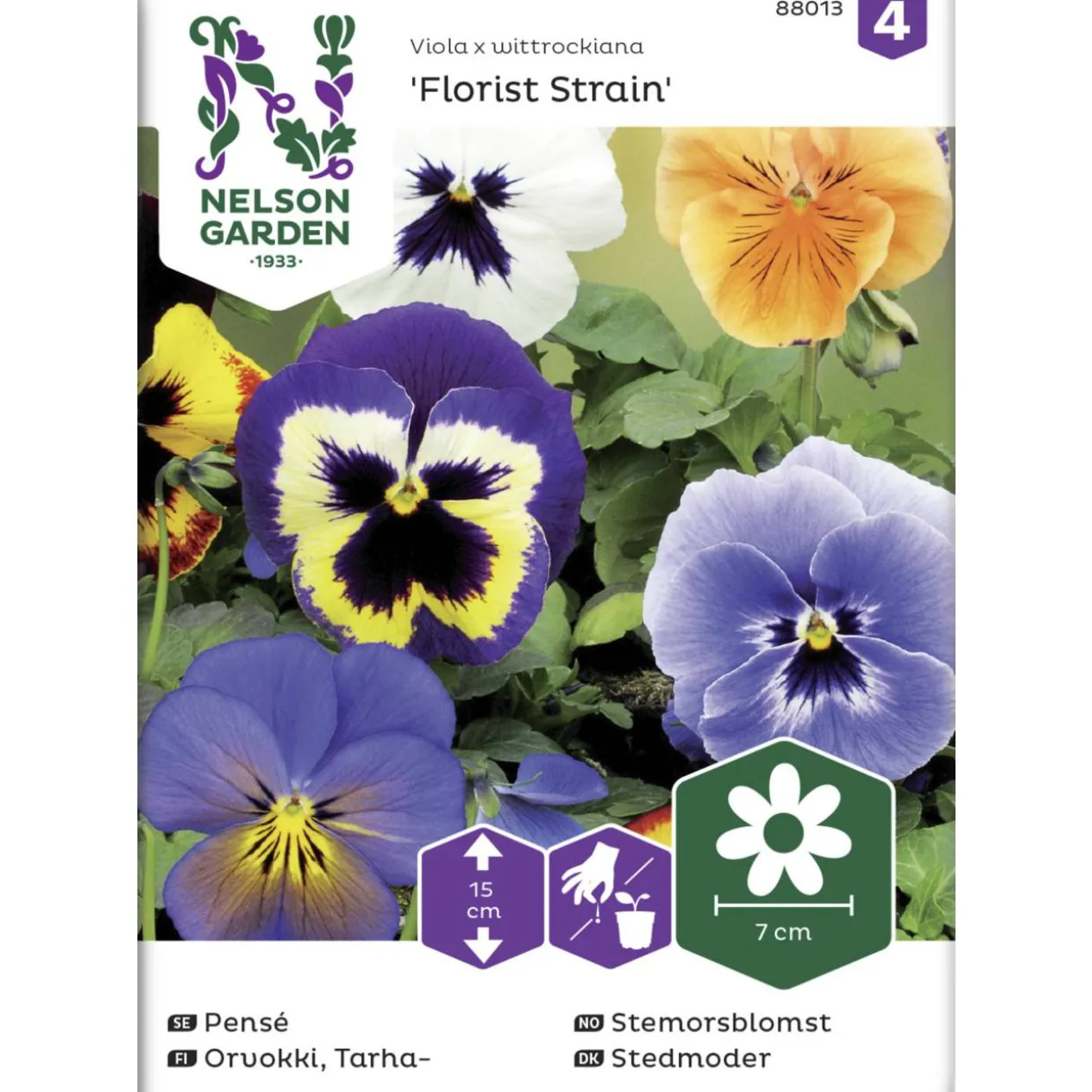 Tarhaorvokki siemen Nelson Garden Basic Florist Strain jättiläinen