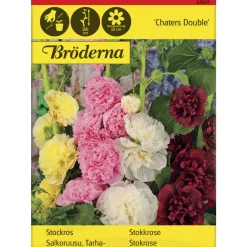 Tarhasalkoruusu Charter's Double siemen Bröderna Nelsons