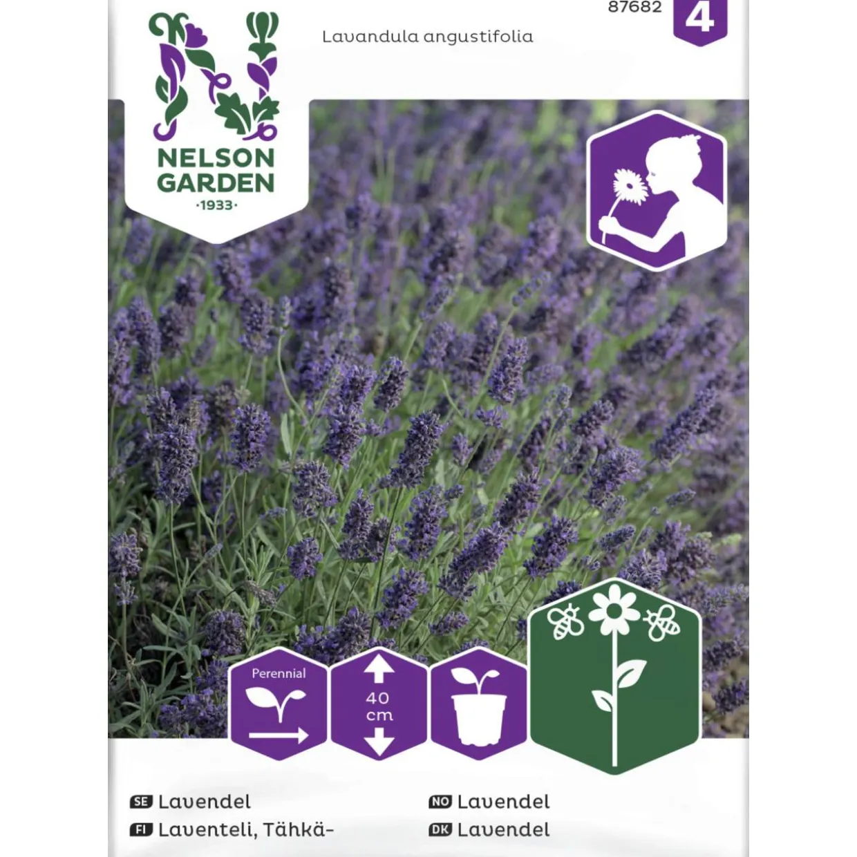 Tähkälaventeli siemen Nelson Garden Basic