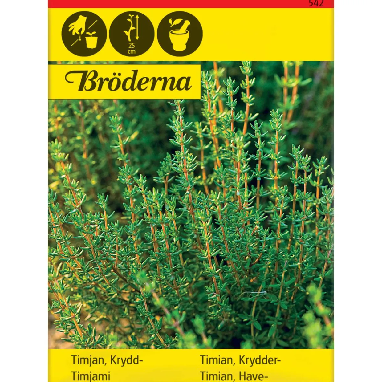 Timjami siemen Bröderna Nelsons