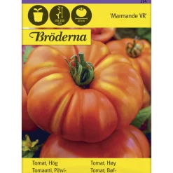 Tomaatti Marmande VR siemen Bröderna Nelsons