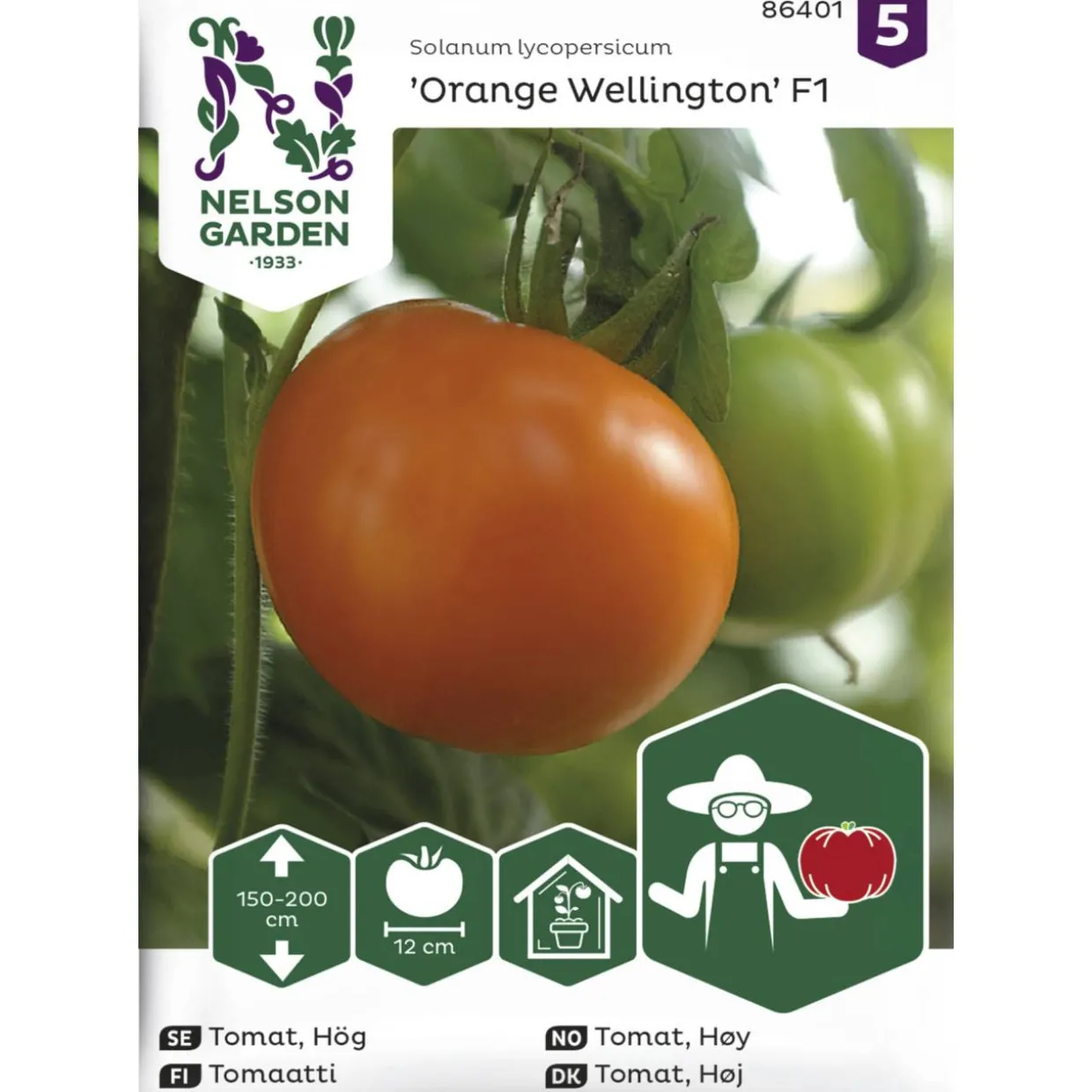 Tomaatti siemen Nelson Garden Basic Orange Wellington F1