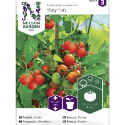 Tomaatti siemen Nelson Garden Basic ruukkuun Tiny Tim
