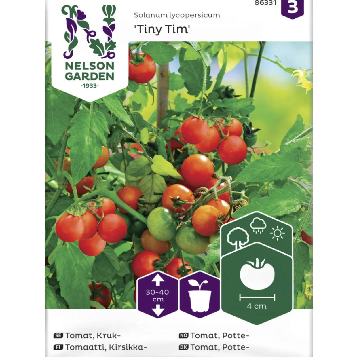 Tomaatti siemen Nelson Garden Basic ruukkuun Tiny Tim
