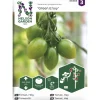 Tomaatti siemen Nelson Garden Basic Green Envy