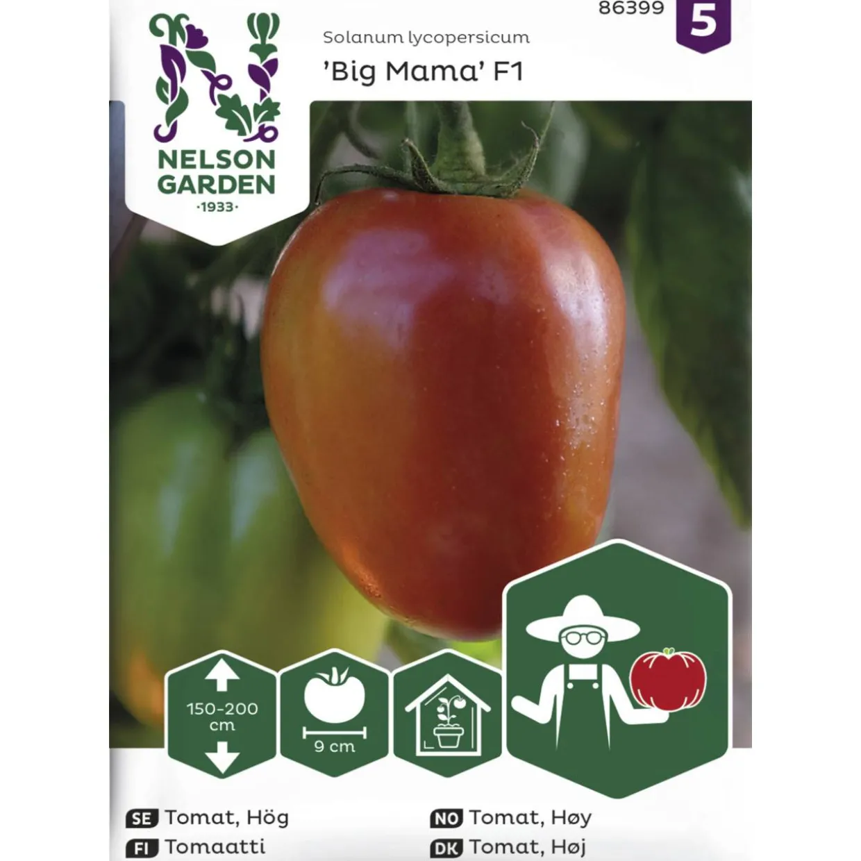 Tomaatti siemen Nelson Garden Basic Big Mama F1