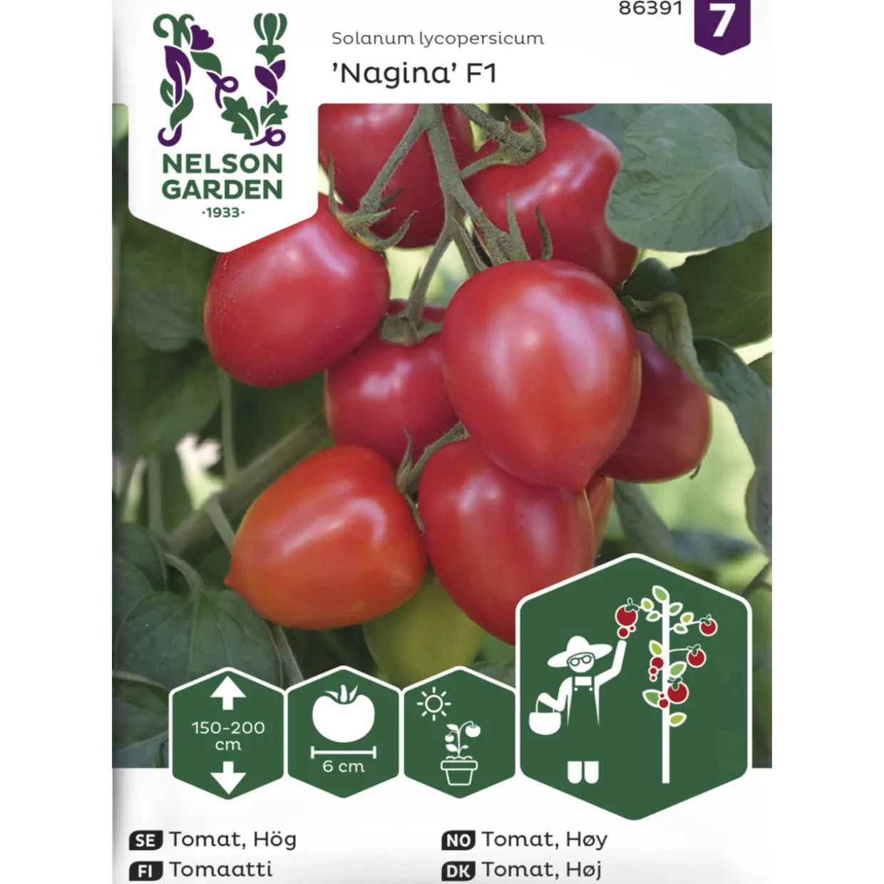 Tomaatti siemen Nelson Garden Basic Nagina F1