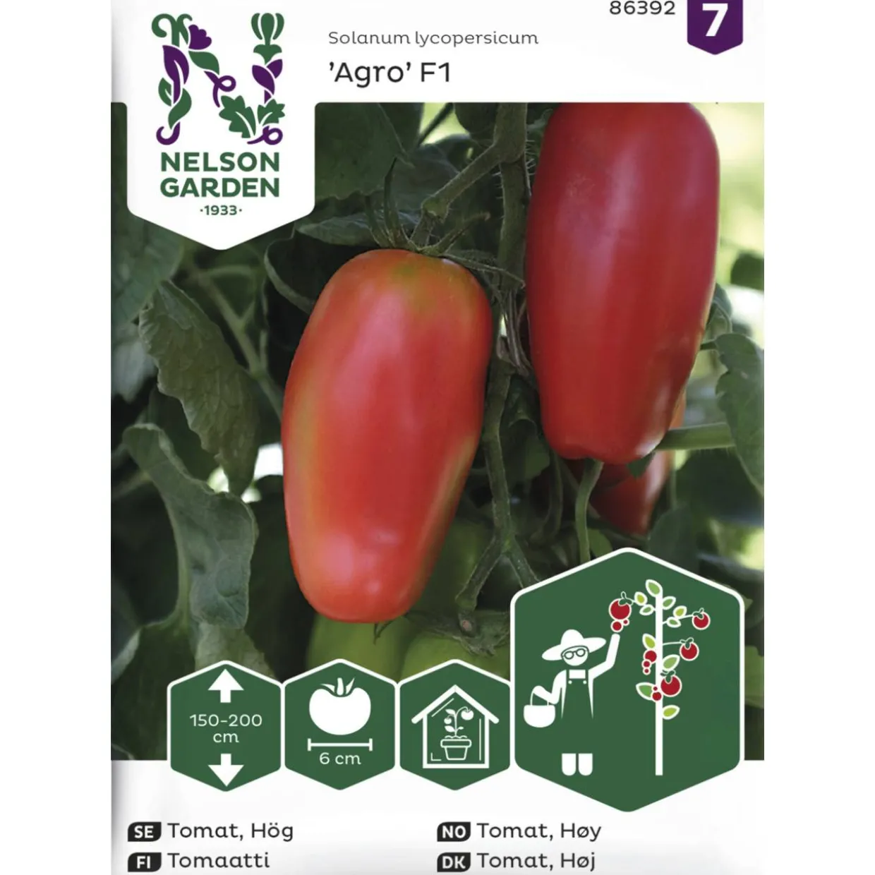 Tomaatti siemen Nelson Garden Basic Agro F1