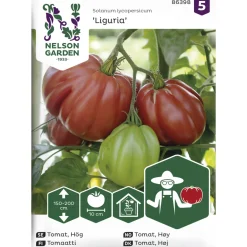 Tomaatti siemen Nelson Garden Basic Liguria