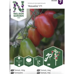 Tomaatti siemen Nelson Garden Basic Ravello F1