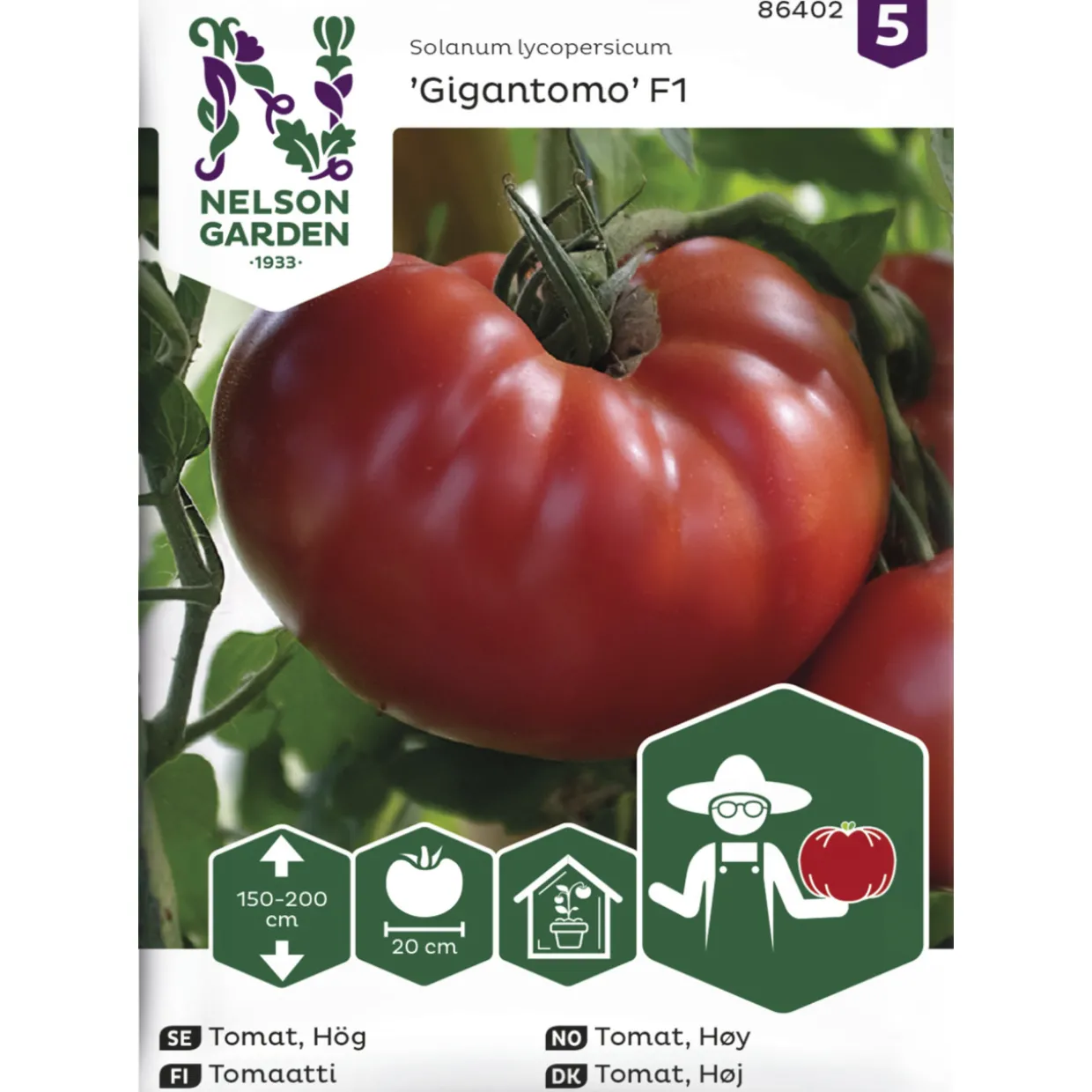 Tomaatti siemen Nelson Garden Basic Gigantomo F1