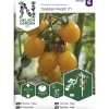 Tomaatti siemen Nelson Garden Basic Golden Pearl F1