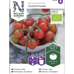 Tomaatti siemen Nelson Garden Basic Zuckertraube Organic