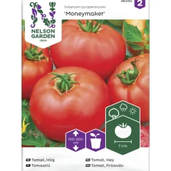 Tomaatti siemen Nelson Garden Basic Moneymaker