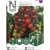 Tomaatti siemen Nelson Garden Basic Rubylicious F1