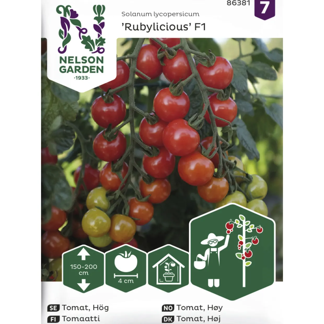 Tomaatti siemen Nelson Garden Basic Rubylicious F1