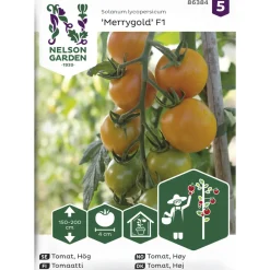 Tomaatti siemen Nelson Garden Basic Merrygold F1