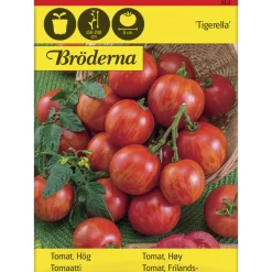 Tomaatti Tigerella siemen Bröderna Nelsons