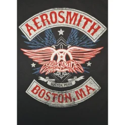 T-paita Aerosmith Boston Pride