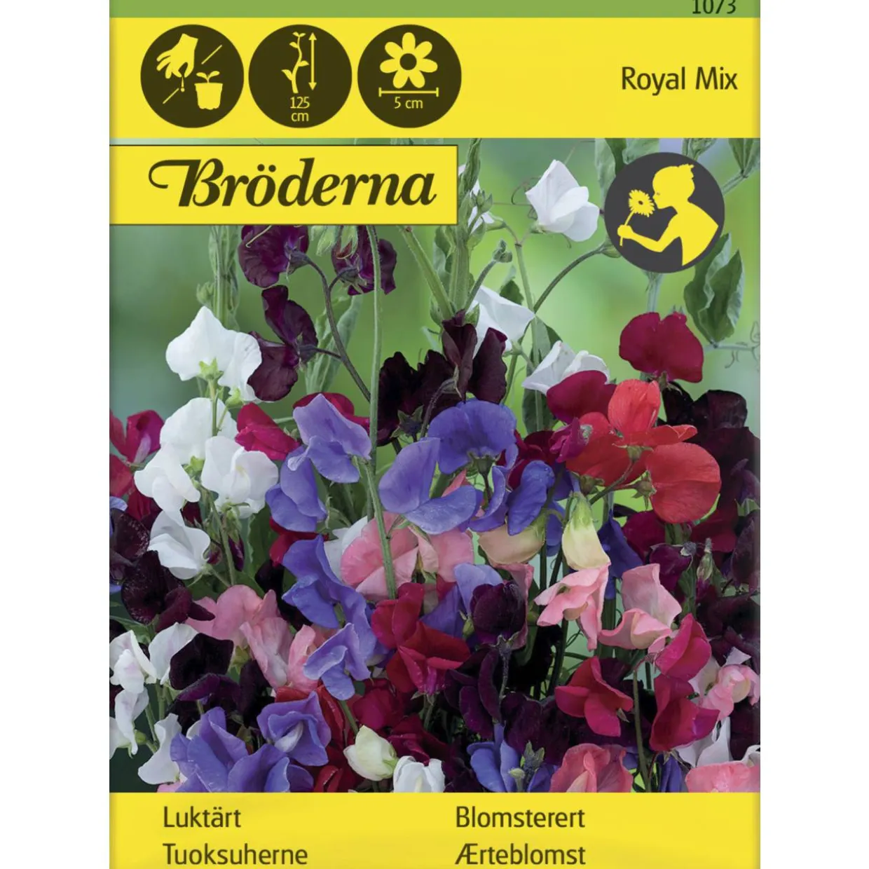 Tuoksuherne Royal Mix siemen Bröderna Nelsons