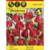 Tuoksuherne Royal Scarlet siemen Bröderna Nelsons