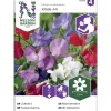 Tuoksuherne siemen Nelson Garden Basic Knee-Hi seos