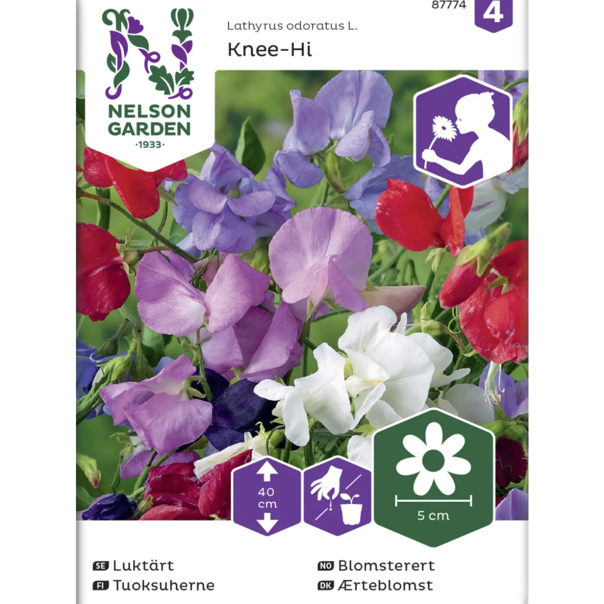 Tuoksuherne siemen Nelson Garden Basic Knee-Hi seos