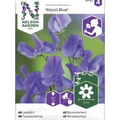 Tuoksuherne siemen Nelson Garden Basic Royal Blue