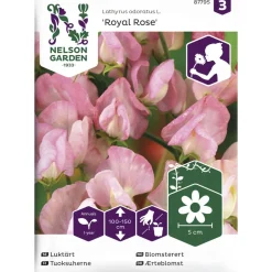 Tuoksuherne siemen Nelson Garden Basic Royal Rose