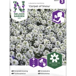 Tuoksupielus siemen Nelson Garden Basic Carpet of Snow
