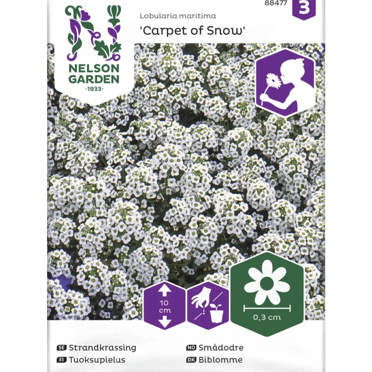 Tuoksupielus siemen Nelson Garden Basic Carpet of Snow