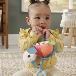 Vaunulelu Fisher-Price kilpikonna