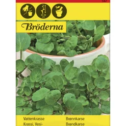 Vesikrassi siemen Bröderna Nelsons