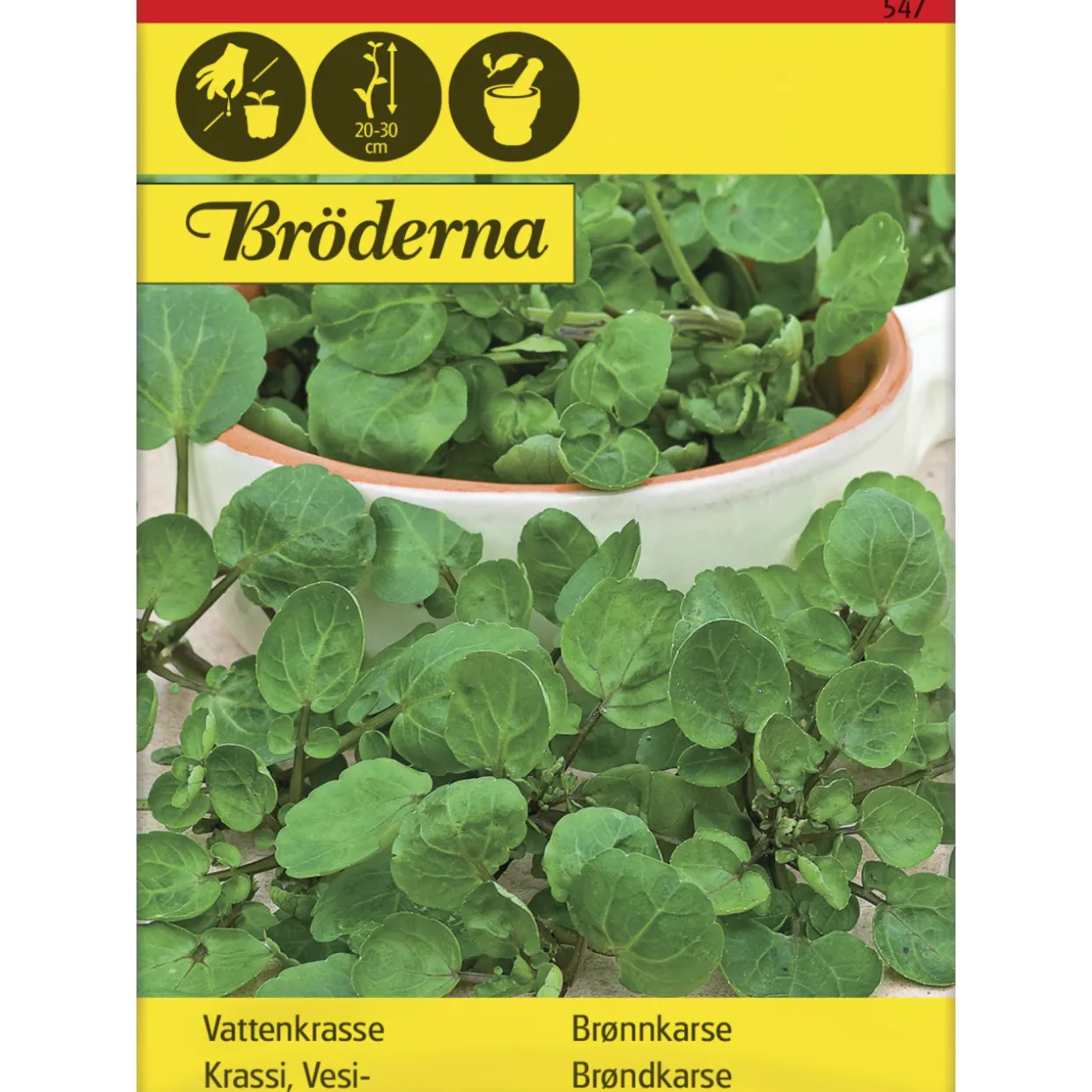 Vesikrassi siemen Bröderna Nelsons